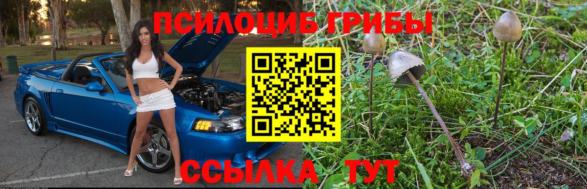 Галлюциногенные грибы мицелий  Вход с VPN  Калининград 