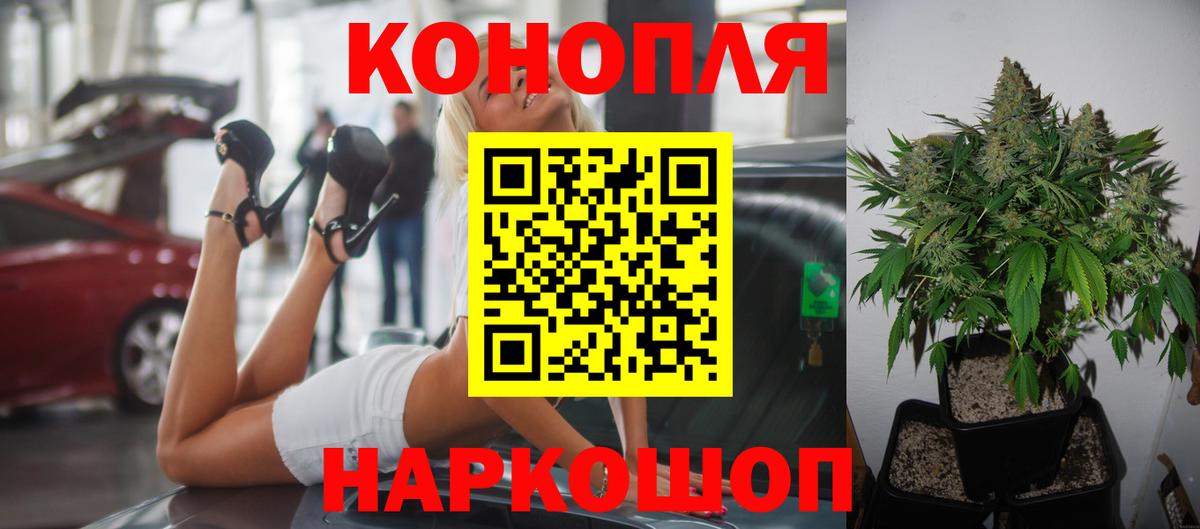 Бошки марихуана сатива Калининград